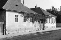 Magyarország, Sárospatak, Kossuth Lajos utca 22. a Lorántffy Zsuzsa utca torkolatánál, háttérben a református templom tornya., 1959, Építésügyi Dokumentációs és Információs Központ, VÁTI, utcakép, repkény, Fortepan #31107