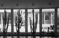 1970, Lindner család, Fortepan #311083