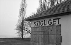 1953, Lindner család, Fortepan #311121