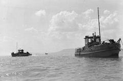 1954, Lindner család, Fortepan #311141