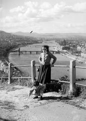 1952, Lindner család, Fortepan #311152