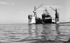 1965, Lindner család, Fortepan #311167