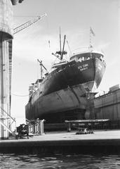 1965, Lindner család, Fortepan #311168