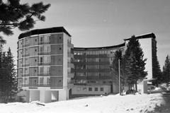 1965, Lindner család, Fortepan #311194