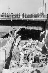 1965, Lindner család, Fortepan #311204