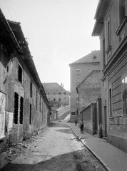 1965, Lindner család, Fortepan #311209