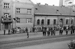 1966, Lindner család, Fortepan #311243