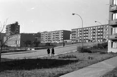 1967, Lindner család, Fortepan #311276