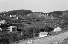 1967, Lindner család, Fortepan #311278