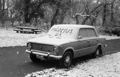 1985, Lindner család, Best of, Fortepan #311286