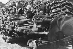 1959, Lindner család, Fortepan #311293