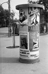 1960, Lindner család, Fortepan #311317