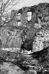 1960, Lindner család, Fortepan #311323