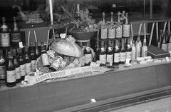 1961, Lindner család, Fortepan #311348