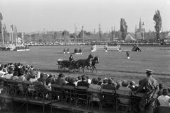 1961, Lindner család, Fortepan #311386