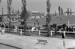 1961, Lindner család, Fortepan #311390