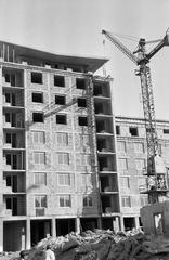 1961, Lindner család, Fortepan #311392