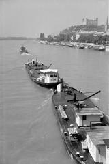 1961, Lindner család, Fortepan #311409