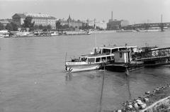 1961, Lindner család, Fortepan #311410