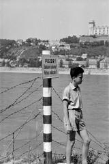 1961, Lindner család, Fortepan #311414