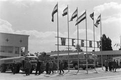 1966, Lindner család, Fortepan #311425