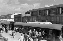 1966, Lindner család, Fortepan #311429