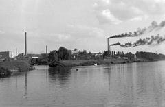 1966, Lindner család, Fortepan #311444