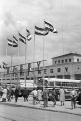 1966, Lindner család, Fortepan #311470