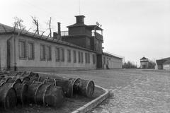 1970, Lindner család, Fortepan #311488