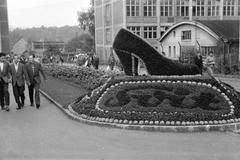 1963, Lindner család, Fortepan #311498