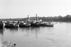 1960, Lindner család, Fortepan #311520