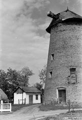 1960, Lindner család, Fortepan #311535