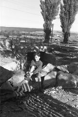 1960, Lindner család, Fortepan #311545