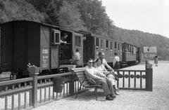 1960, Lindner család, Fortepan #311548