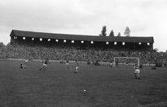 1960, Lindner család, Fortepan #311561