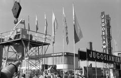 1965, Lindner család, Fortepan #311586