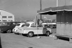 1963, Lindner család, Fortepan #311636