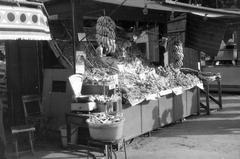 1963, Lindner család, Fortepan #311642