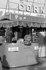 1963, Lindner család, Fortepan #311643