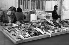 1963, Lindner család, Fortepan #311669