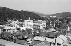 Magyarország, Salgótarján, látkép a Karancs szállóból a vasút felé, távolban a völgyben a kórház látszik., 1966, Építésügyi Dokumentációs és Információs Központ, VÁTI, vasút, látkép, Fortepan #31171