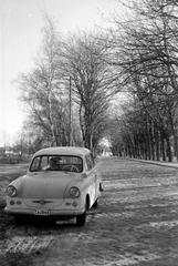 1964, Lindner család, Fortepan #311733