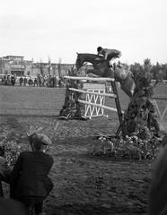 1940, Martin Ferenc, Fortepan #311759