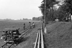 1940, Martin Ferenc, Fortepan #311768