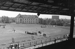 1940, Martin Ferenc, Fortepan #311773