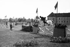 1940, Martin Ferenc, Fortepan #311780