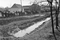 1942, Martin Ferenc, Fortepan #311808