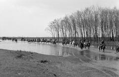 1942, Martin Ferenc, Fortepan #311814