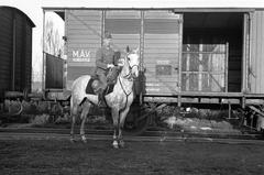 1942, Martin Ferenc, Best of, vagon, lovas, Fortepan #311815