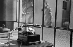 1939, Martin Ferenc, Fortepan #311823